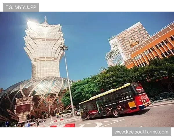 澳门百家乐平台免费试玩体验便捷快捷精彩纷呈