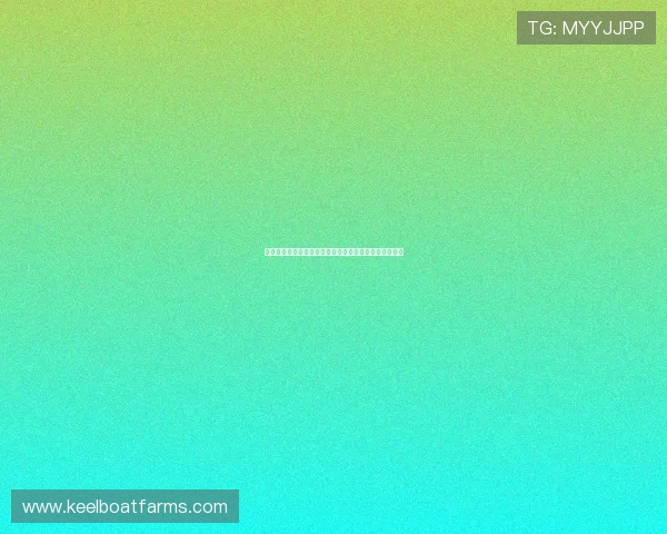 壹号娱乐在线多平台同步登录与账号管理的便捷操作流程