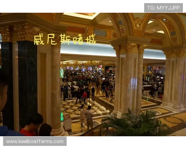 澳门威尼斯娱乐城地址在哪里？详细位置及交通指南帮你轻松到达