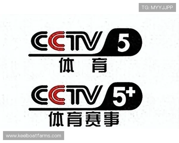 瑞丰体育娱乐平台全面解析：提供多样化体育赛事直播与高效投注体验